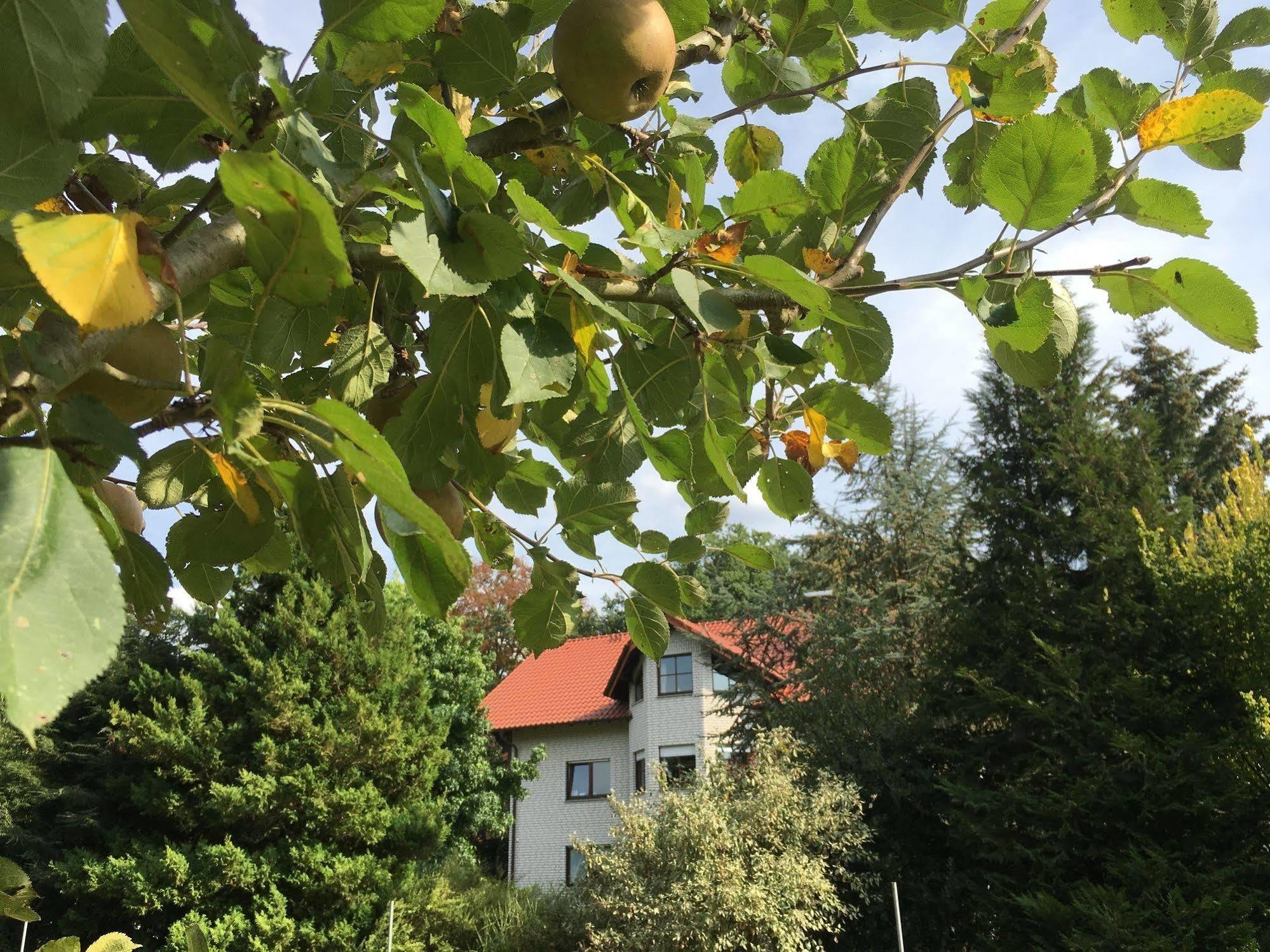 Landhaus Hotel Goeke Hovelhof Exterior photo